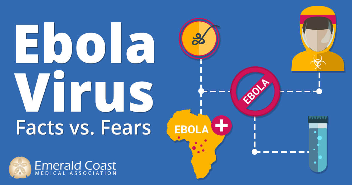 Ebola Virus image